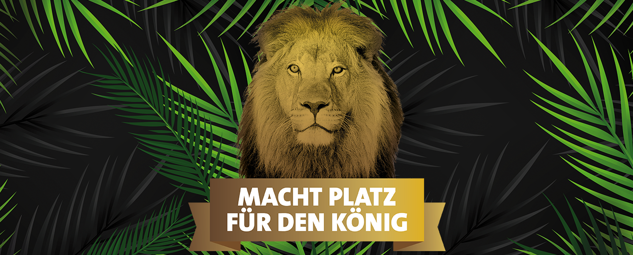 Visual Zoo Frankfurt Macht Platz für den Koenig